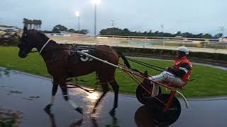 Trotting Races at Alexandra Park Raceway in Auckland [upl. by Lorimer]