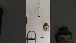 Bldc ceiling fan best ceiling fans for bedroom crompton bldc ceiling fan [upl. by Neurath292]