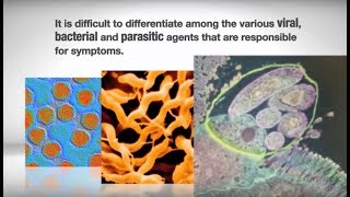 xTAG® Gastrointestinal Pathogen Panel GPP Introduction [upl. by Aihsyt]