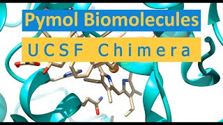 How to install chimera in ubuntu linux  pymol biomolecules [upl. by Reklaw]