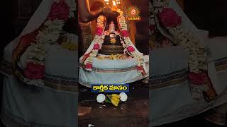 పరమశివుని అనుగ్రహం కలగడంకోసం chaganti paramasivam sivan shiva karteekamasam grace motivation [upl. by Nihi]