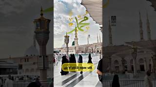 Jab Muhammad Ka Naam Ata Hai 🤌🫂💯🥰🌹 nabipakﷺ muhammadﷺ muhammad naatstatus shorts madina fyp [upl. by Akihsat]