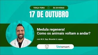 Medula regenera Como os animais voltam a andar [upl. by Elirpa]