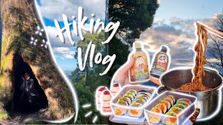 unimelb students touch grass  hiking vlog  dandenong ranges 🌻 [upl. by Hannej929]