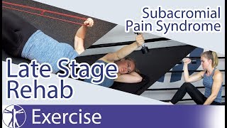 Subacromial Pain Syndrome SAPS  Late Phase Eccentric Rehab [upl. by Llabmik]