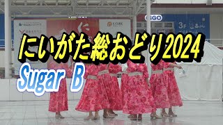 【新潟イベント】にいがた総おどり2024にいがた総おどり 万代新潟県新潟総踊りダンス＃万代シティ＃シーキューブ未来広場 [upl. by Matthew52]