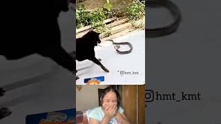 Dudh ya jahar😂 meme funny reactionvideo comedy trending funnymemes reactionvideo reaction [upl. by Arobed]