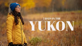 7 DAYS IN THE YUKON  FALL COLORS MOUNTAINS TURQUOISE LAKES  NORTHERN LIGHTS amp WILDLIFE [upl. by Song]