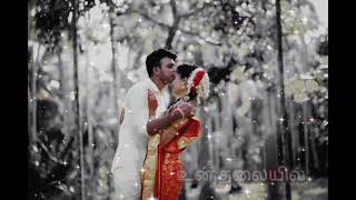 Ammadi ammadi enna pannuva tamil status songs [upl. by Neeloj]