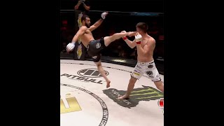 Le KO le plus fou de lhistoire du KSW   Shorts [upl. by Knepper]