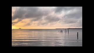 Peaceful morning on the Pamlico River [upl. by Denny]