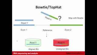 RNASeq Alignment and Visualization [upl. by Ettenil189]