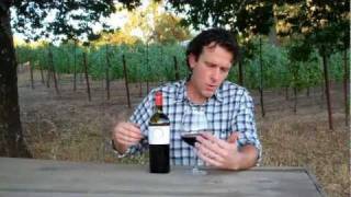 Olabisi 2006 Petite Sirah Virtual Tasting With Ted Osborne [upl. by Torhert980]