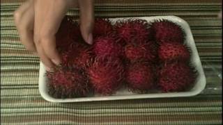 Rambutan Eating and Removing the Seeds [upl. by Swamy]