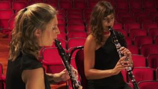 Mademi Quartet Caprice for Clarinets  Clare Grundman [upl. by Connelly112]