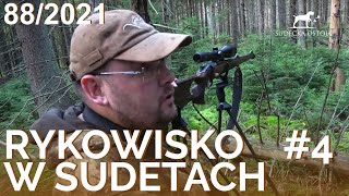 SUDECKA OSTOJA 882021 Deer Hunting Rykowisko polowanie na jelenie Wild jagen Chasse au cerf [upl. by Uv]