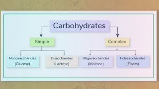 Biomolecules Basic intro with definition of carbohydrates amp its classification chemiphilic21 [upl. by Kendry]