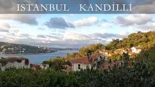 Rengarenk Kandilli Sokakları ve Kandilli İskelesi  İstanbul Walking Tour [upl. by Shari]