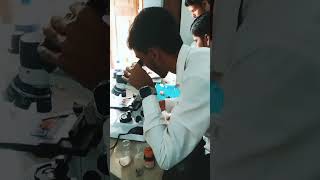 Genetics and plant breeding lab work [upl. by Morvin]