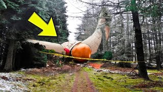 Hiker Finds Huge Strange Looking Object In Forest Experts Turn Pale After Finding This Inside [upl. by Bilac948]