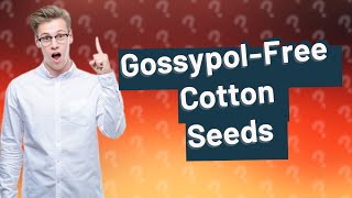 Is cotton seed safe to eat [upl. by Cora661]