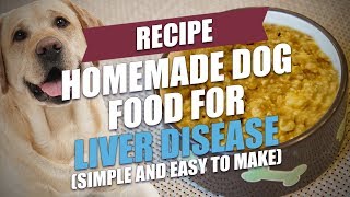 Homemade Dog Food for Liver Disease Recipe Easy to Make [upl. by Akimet415]