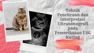 P1a Teknik pencitraan dan intepretasi ultrasonografi pada pemeriksaan kebuntingan USG kucing [upl. by Dacia465]