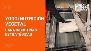 YODONUTRICIÓN VEGETAL PARA INDUSTRIAS ESTRATÉGICAS [upl. by Idoj]