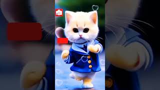 Smar cut dance cutecatdancing [upl. by Mehta]