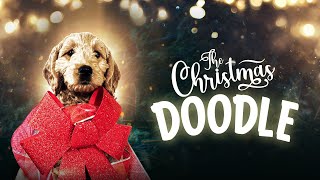 The Christmas Doodle 2021 Full Movie  Ashley Wright David Wright Cadence Wright [upl. by Selrac]