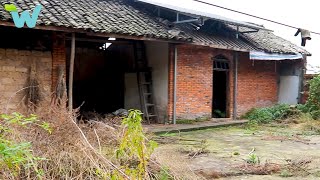 Full video  120 days renovating old house and garden abandoned for 38 years in the countryside [upl. by Hgielrebmik876]