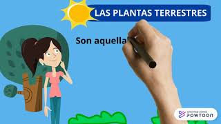 PLANTAS ACUÁTICAS TERRESTRES Y AEROTERRESTRES PARA NIÑOS [upl. by Juni]