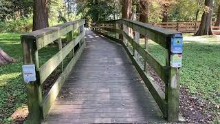 Taking a look at Reelfoot Lake and Tiptonville Tennessee [upl. by Hembree]