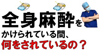 【全身麻酔をかけられている間、何をされているの？】手術の流れに沿って解説します。 [upl. by Nitsa]