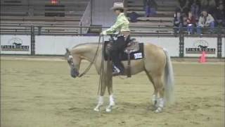 2007 Canadian Reining Breeders Classic  Shiners Q Chex  Nicole Brown [upl. by Siravat274]