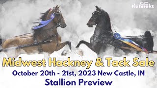 Stallion Preview  Midwest Hackney amp Tack Sale 2023 [upl. by Monika919]