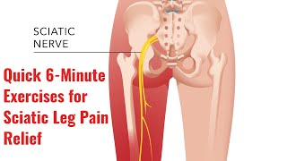 The Best Exercises for Sciatic Leg Pain Relief [upl. by Samot]