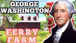 GEORGE WASHINGTON Boyhood FERRY FARM House CHERRY TREE Story [upl. by Gwenore]