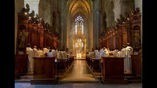 Pontifikalamt mit Feierlicher Profess live aus Heiligenkreuz katholischer Gottesdienst 15082023 [upl. by Aihpledalihp]