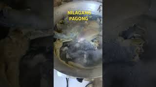 NILAGANG PAGONG [upl. by Wayland]