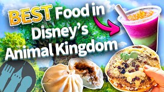 Ultimate Guide to the Best Food in Disneys Animal Kingdom [upl. by Thia]