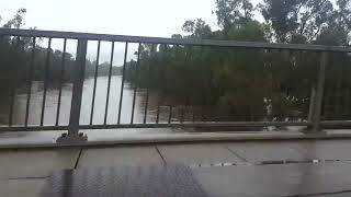 Cowra Floods 2021 Part 1 [upl. by Vachill]