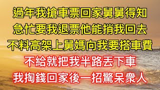 過年我搶車票回家舅舅得知，急忙要我退票他能捎我回去，不料高架上舅媽向我要搭車費，不給就把我半路丟下車，我掏錢回家後一招驚呆衆人 [upl. by Neillij]