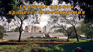 Скрытые нюансы процесса Освобождения [upl. by Harpole493]