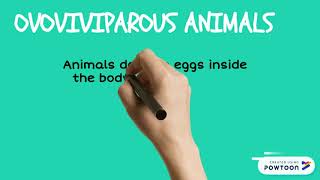 Oviparous viviparous and ovoviviparous animals [upl. by Ebneter403]