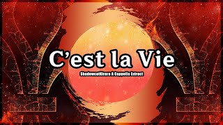 Cest la Vie A Cappella 🎶 dArtagnan Vocal Cover [upl. by Assiren]