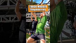 🐒 TOUGH MUDDER  Dingleberries toughmudder ocr shorts [upl. by Anileba]