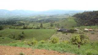 Forest and pasture farm for sale in Perez Zeledon Costa Rica  1874 [upl. by Gnort577]