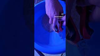 STINGRAY BARB REMOVAL  MY STINGRAY GOT CAUGHT IN A NET Stingray monsterfish aquariums aquatics [upl. by Keiryt]