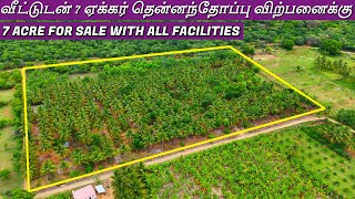 7 ACRE FOR SALE  வீட்டுடன் 7 ஏக்கர் தென்னந்தோப்பு விற்பனைக்கு realestate best coconutfarm land [upl. by Aimar]